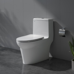 Bàn cầu một khối V65