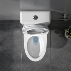 Bàn cầu một khối V65