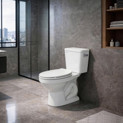 Bàn cầu hai khối V715