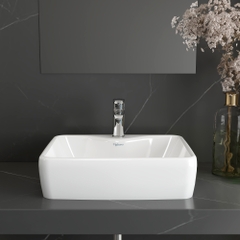 Chậu dương bàn V72