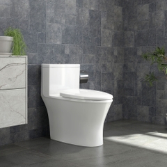 Bàn cầu một khối V803