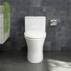 Bàn cầu một khối V803