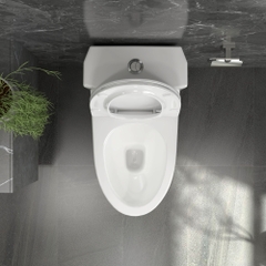 Bàn cầu một khối V803