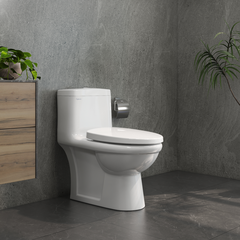 Bàn cầu một khối V825