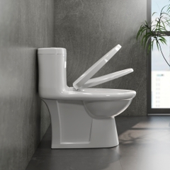 Bàn cầu một khối V825