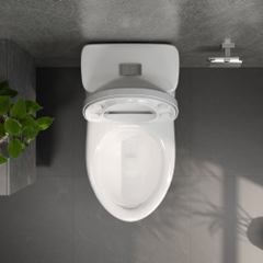 Bàn cầu một khối V825