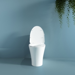 Bàn cầu một khối V829