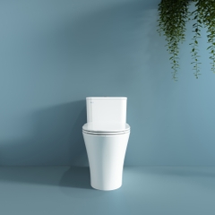 Bàn cầu một khối V829