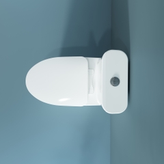 Bàn cầu một khối V829