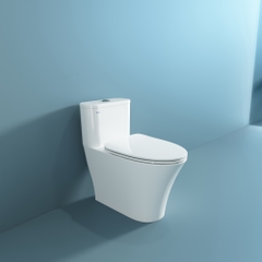 Bàn cầu một khối V829