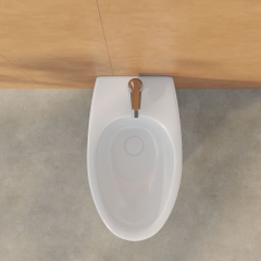 Tiểu nữ đặt sàn VB5