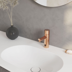 Vòi cảm ứng dùng pin VG1023