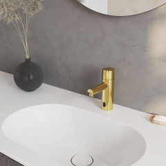 Vòi cảm ứng dùng pin VG1023