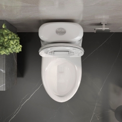 Bàn cầu hai khối VI107