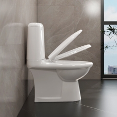 Bàn cầu hai khối VI107