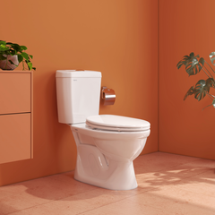 Bàn cầu hai khối VI28