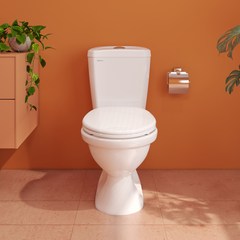 Bàn cầu hai khối VI28