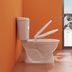 Bàn cầu hai khối VI28