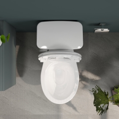 Bàn cầu hai khối VI44