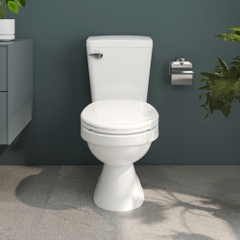 Bàn cầu hai khối VI44