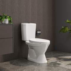 Bàn cầu hai khối VI66