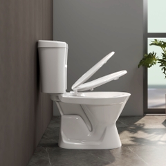 Bàn cầu hai khối VI66