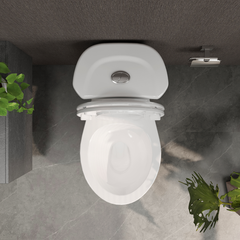 Bàn cầu hai khối VI66