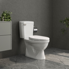 Bàn cầu hai khối VI77