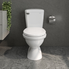 Bàn cầu hai khối VI77