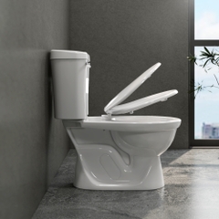 Bàn cầu hai khối VI77