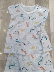 B22 Bộ cotton Hàn ngắn