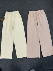 Q116 Quần thun dày 2 da GJ