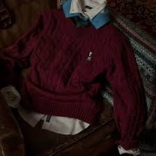 A124 Áo len gấu cổ tim