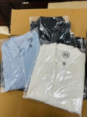 AE06 Áo sơ mi nữ Atg