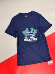 A48 Áo phông nam Holister