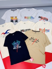 A48 Áo phông nam Holister