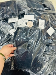 AE06 Áo sơ mi lụa