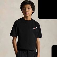 AB03 Áo thun bé trai P0l0 rap