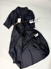 V26 Đầm công sở Quunibi