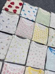 B36b Bộ cotton Hàn organic