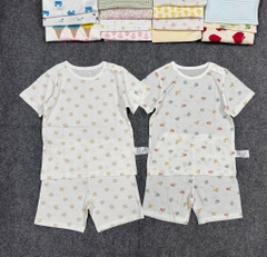 B36b Bộ cotton Hàn organic