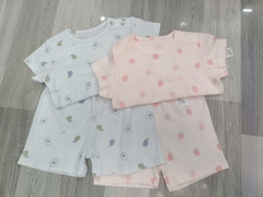 B22 Bộ cotton Hàn ngắn
