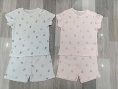 B22 Bộ cotton Hàn ngắn