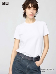 AE02b Áo supima Uny gấu m