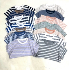 AB01 Combo 3 áo kẻ Mu Zi