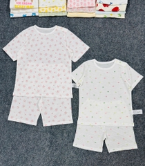 B36b Bộ cotton Hàn organic