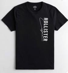 A48 Áo phông nam Holister