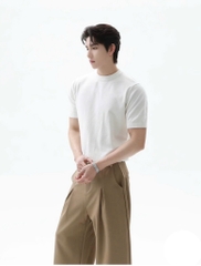 AA20 Áo len nam tay ngắn