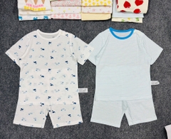 B36b Bộ cotton Hàn organic