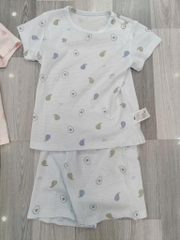 B22 Bộ cotton Hàn ngắn